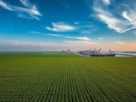 Importações de soja do Brasil para a China crescem 9% em junho de 2025, consolidando o país como principal fornecedor.