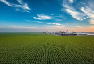 Importações de soja do Brasil para a China crescem 9% em junho de 2025, consolidando o país como principal fornecedor.