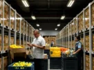 Governo brasileiro compra alimentos afetados por tarifas dos EUA: açaí, manga, pescados e outros.