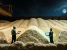 Suzano aumenta preços da celulose em setembro de 2025, com reajustes para Ásia, Europa e EUA
