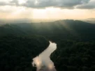 Brasil anuncia investimento de US$ 1 bilhão em fundo global para proteção de florestas tropicais, com meta de US$ 125 bilhões.