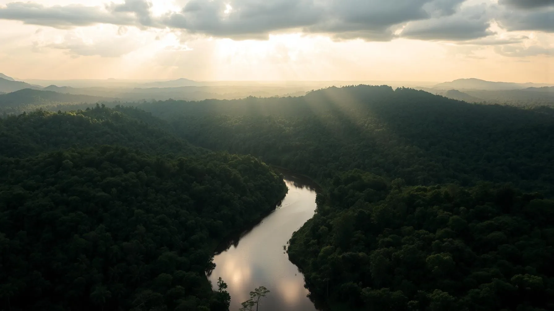 Brasil anuncia investimento de US$ 1 bilhão em fundo global para proteção de florestas tropicais, com meta de US$ 125 bilhões.
