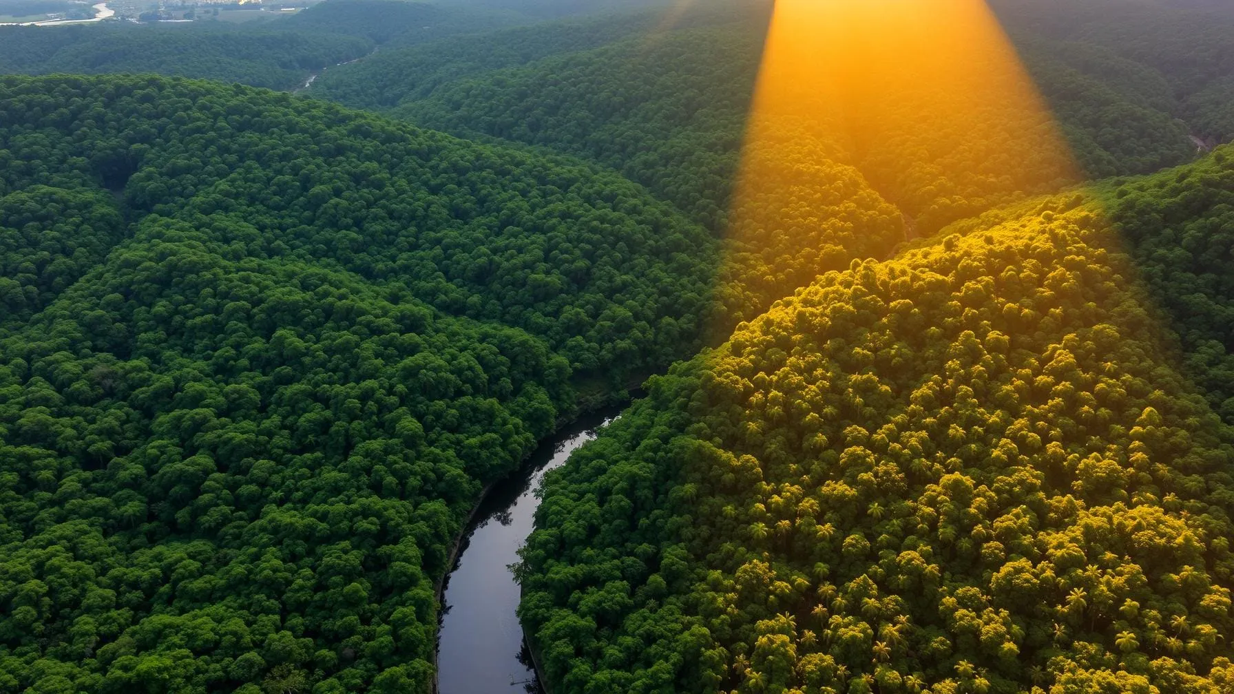 Ministros de Finanças discutem financiamento climático de US$ 1,3 trilhão na COP30 e proposta brasileira TFFF